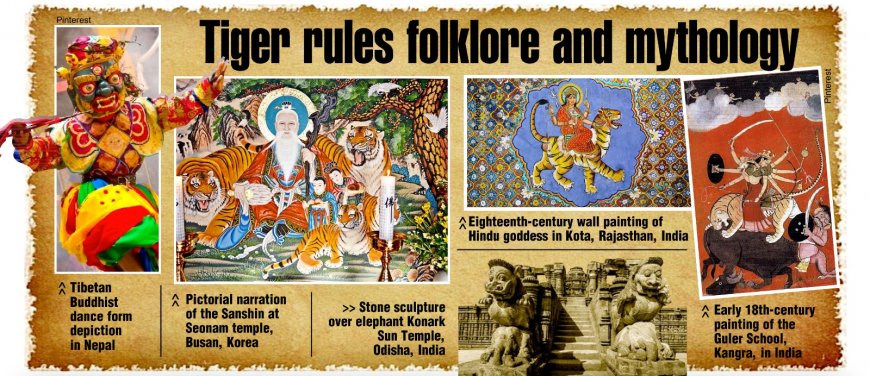 Tiger rules folklore and mythology