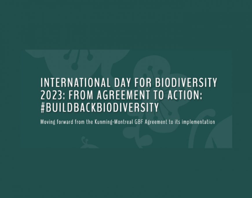 Who is damaging Asia's biodiversity? We!