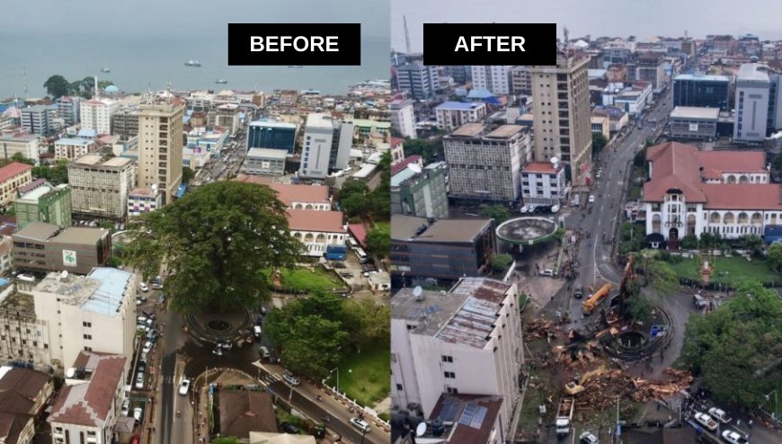 The Fall of Sierra Leone's Historic Cotton Tree